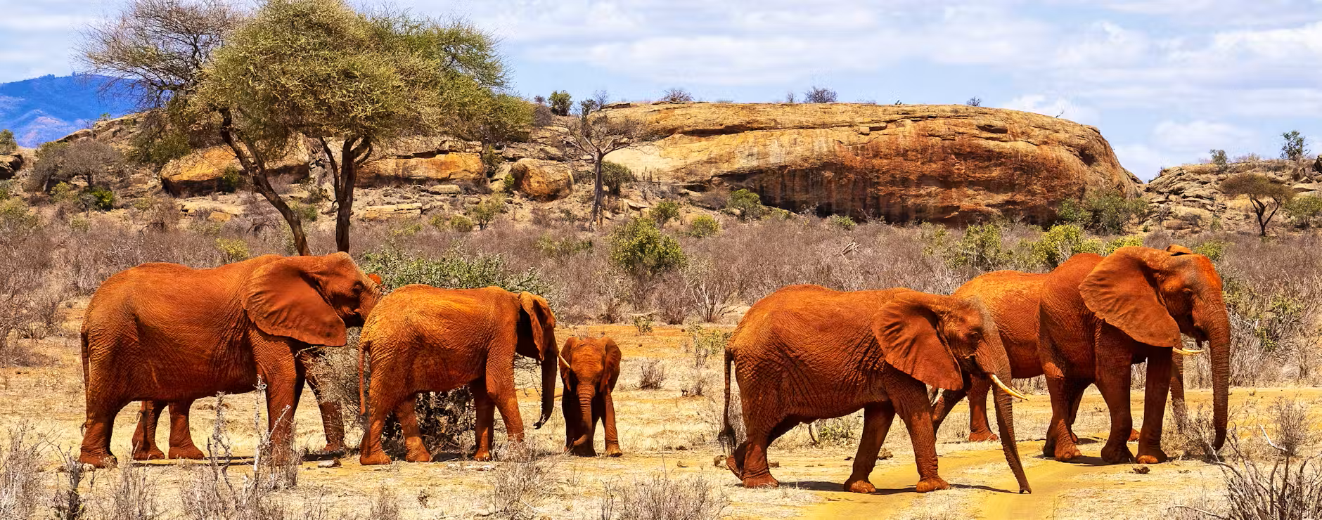 Tsavo East 